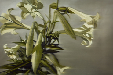 Lily Long Mono