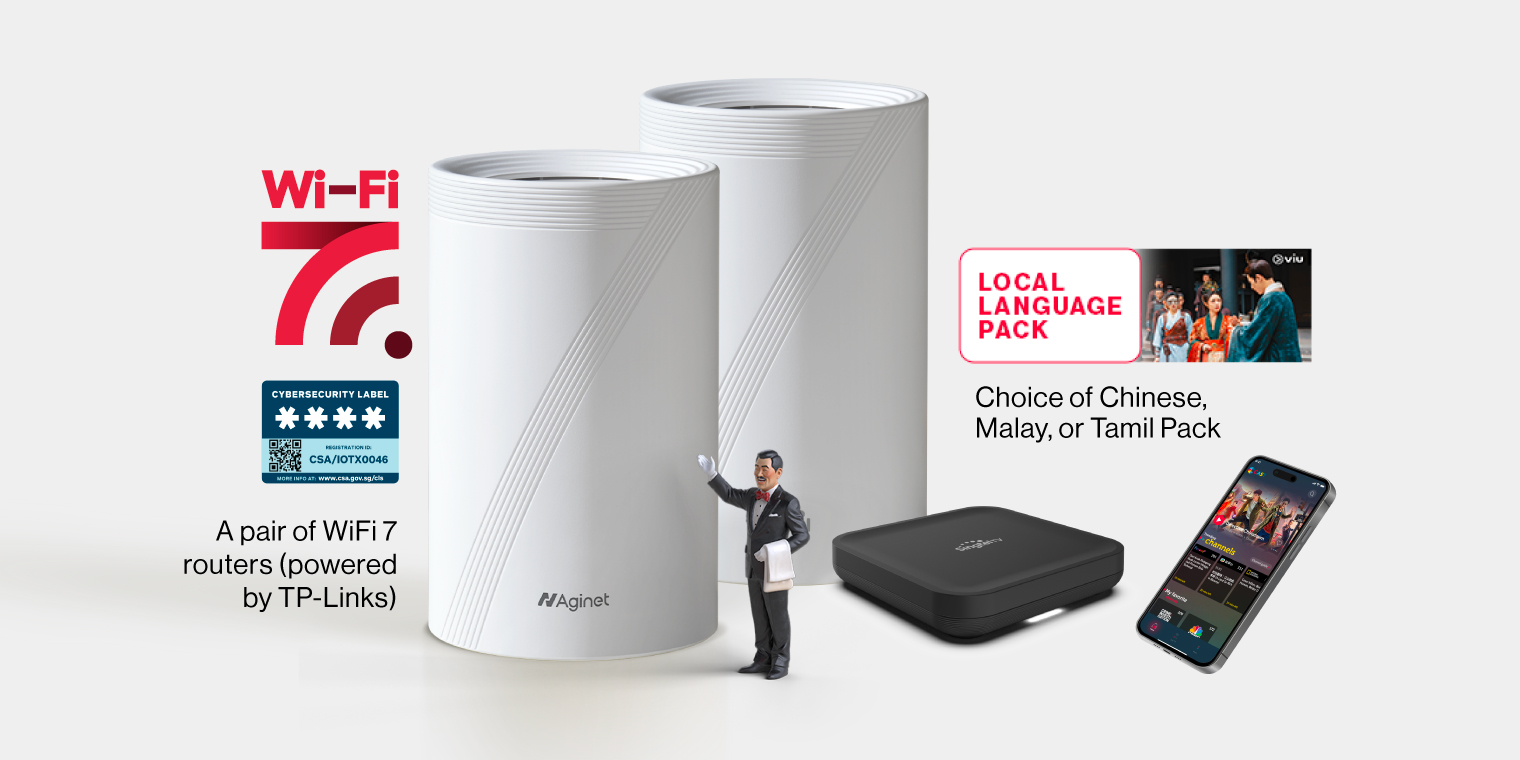 Seamless 10Gbps Mesh + Singtel Ethnic Pack at $56.28/mth